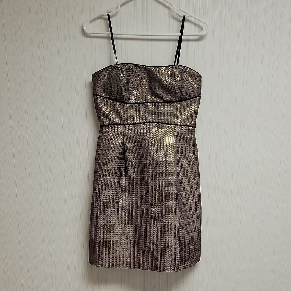 Max And Cleo Strapless Elegant Metallic Dress Womens Sz 4 party